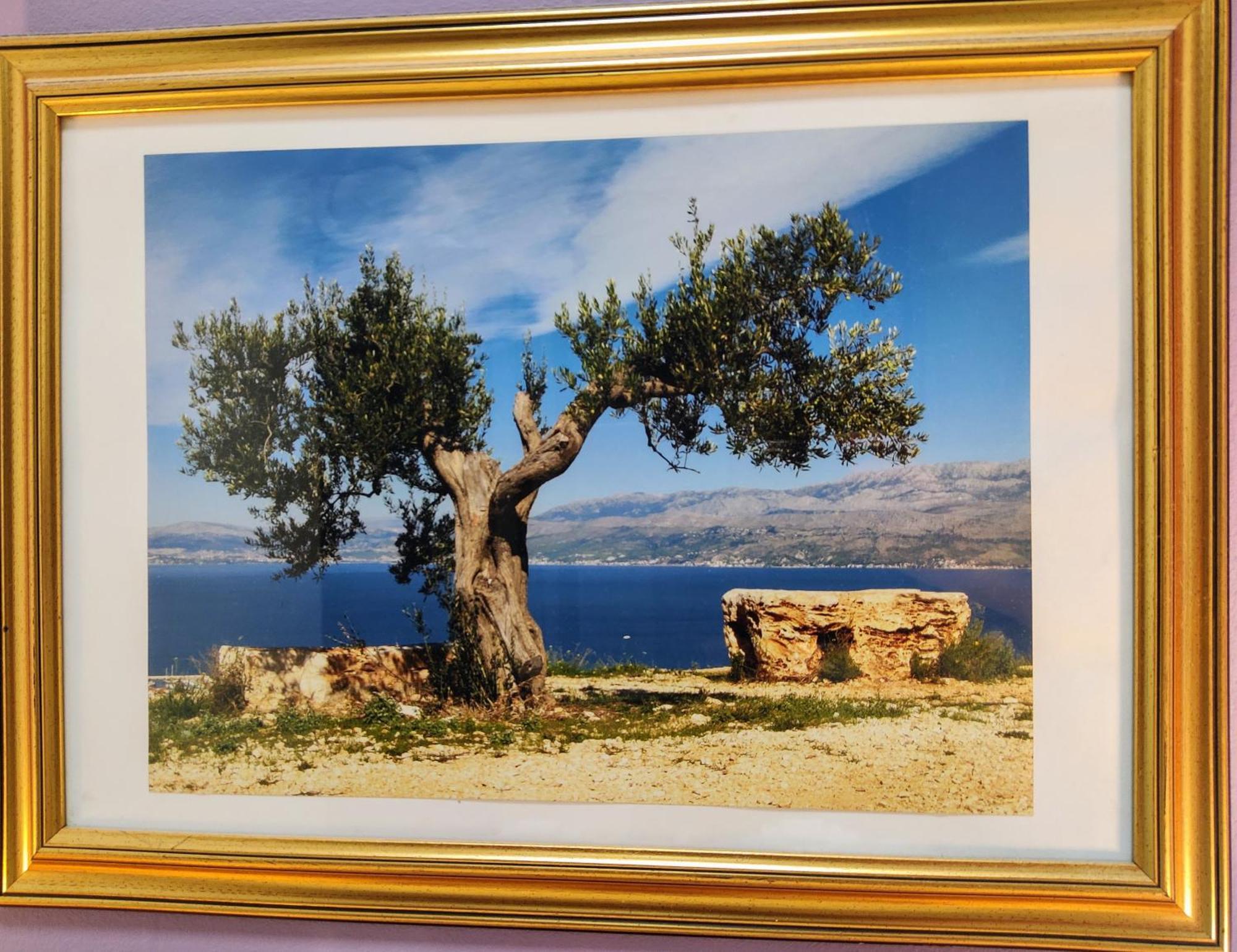 Olive Tree City Apartment Zagreb Luaran gambar